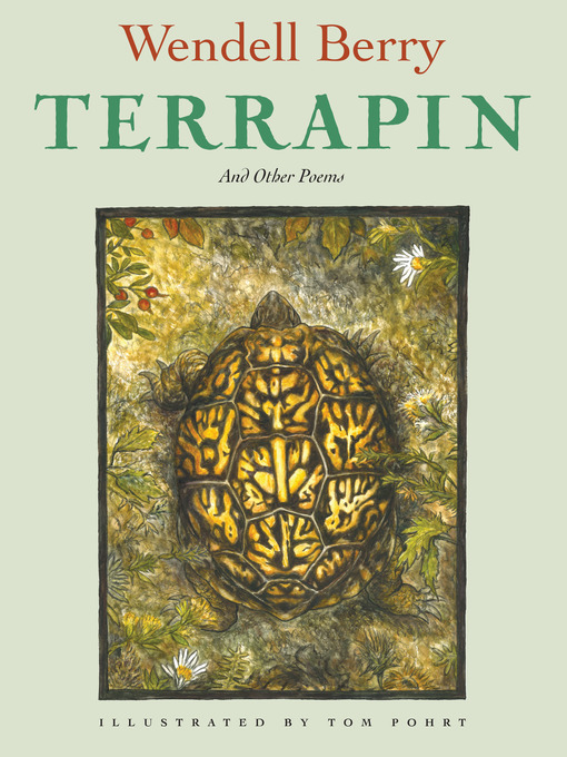 Cover image for Terrapin